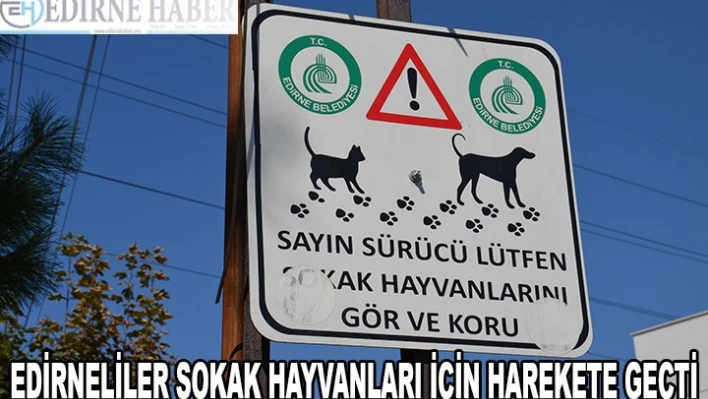 EDİRNELİLER SOKAK HAYVANLARI İÇİN HAREKETE GEÇTİ