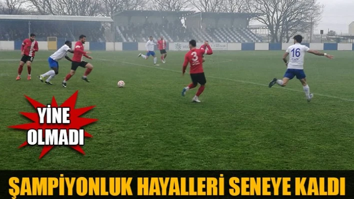Bu sene yine olmadı