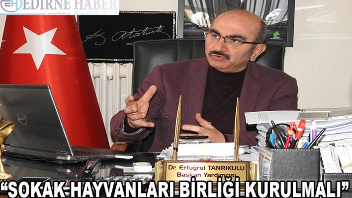 'Sokak Hayvanları Birliği kurulmalı'