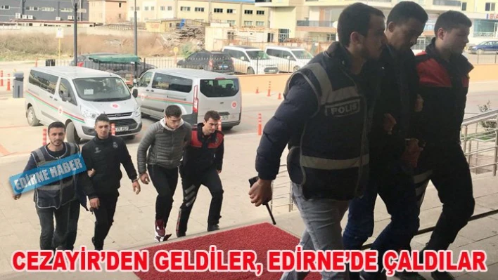 Cezayir'den geldiler, Edirne'de çaldılar