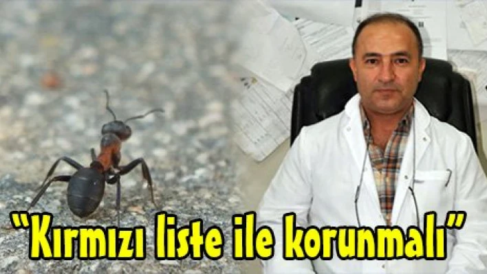 'Kırmızı liste ile korunmalı'