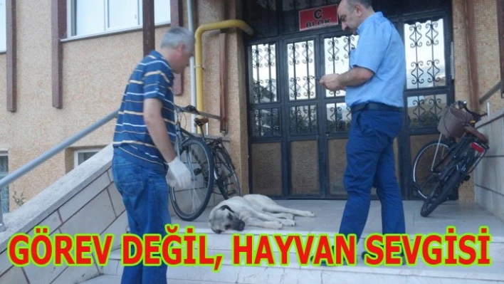 Anında müdahale