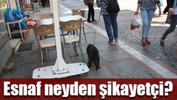 Besle Köpeği, yola pislesin..