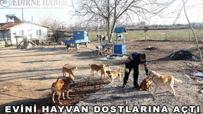 Evini hayvan dostlarına açtı