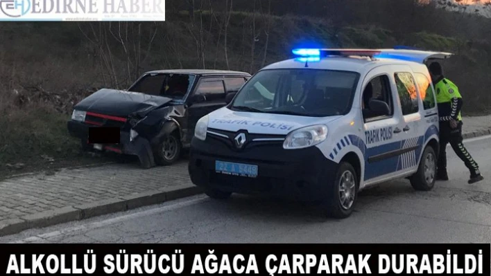 Alkollü sürücü ağaca çarparak durabildi