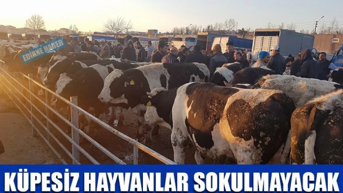 Küpe olmadan aslaâ€¦