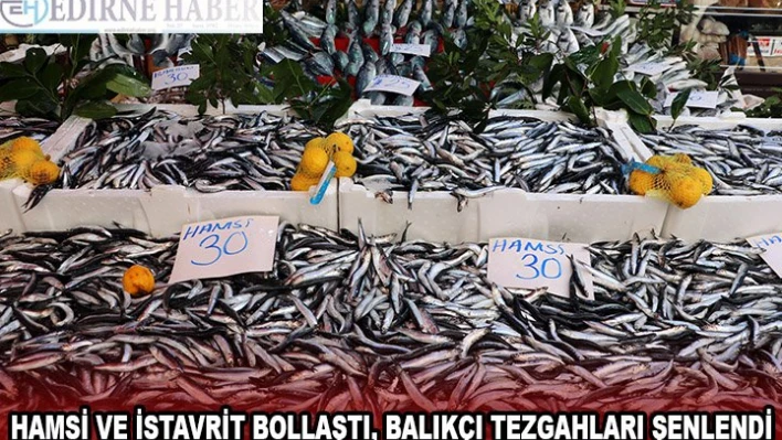 HAMSİ VE İSTAVRİT BOLLAŞTI, BALIKÇI TEZGAHLARI ŞENLENDİ