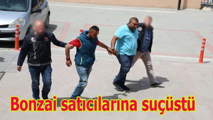 Bonzai satıcılarına suçüstü