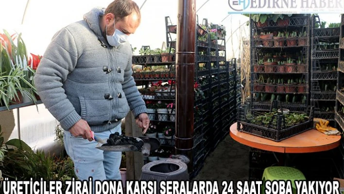 Edirne'de üreticiler zirai dona karşı seralarda 24 saat soba yakıyor