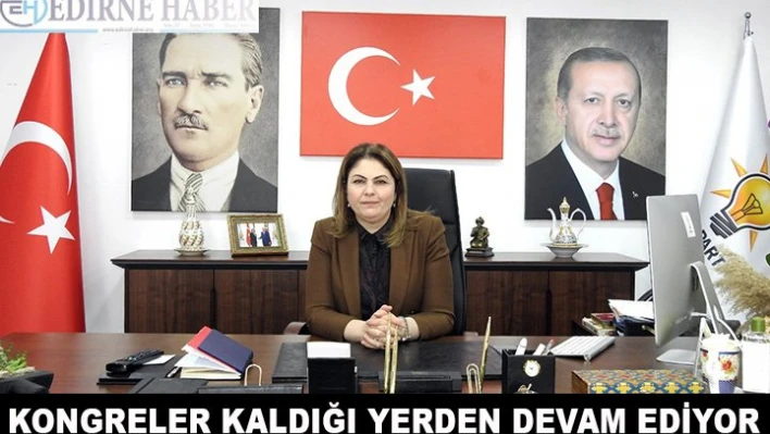 Kongreler kaldığı yerden devam ediyor