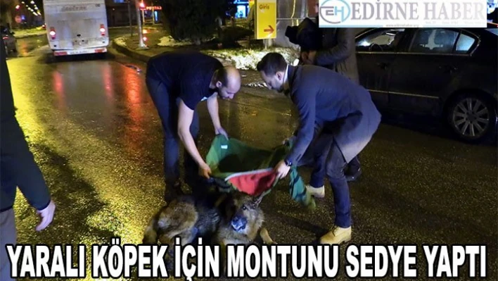 Yaralı köpek için montunu sedye yaptı