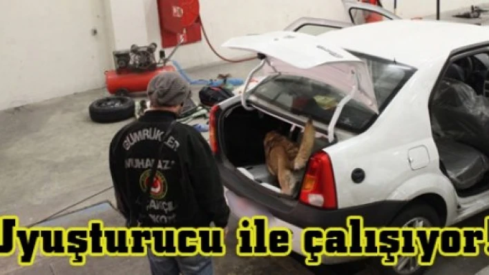 Uyuşturucu ile çalışıyor!