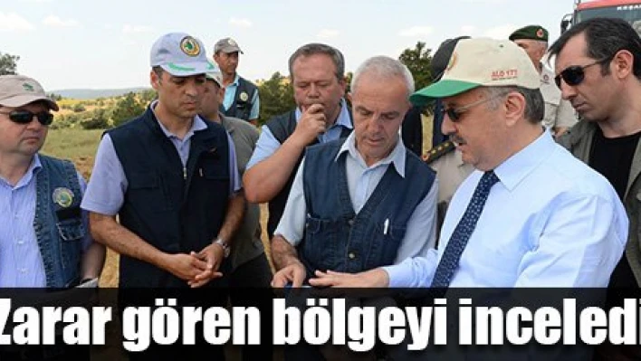 'Bölge yeniden ağaçlandırılacak'