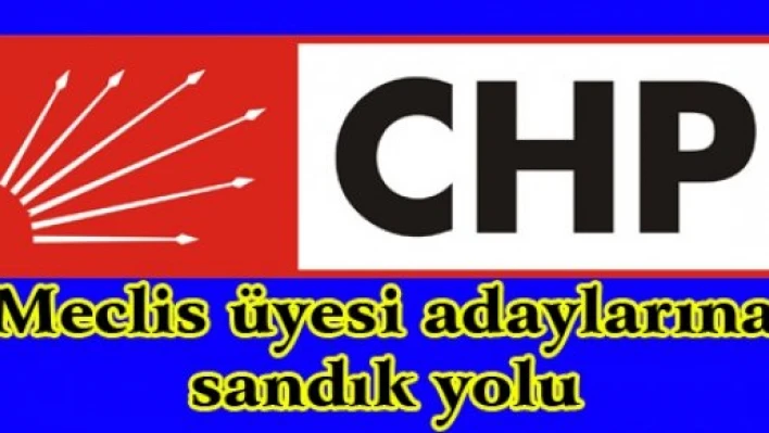 Meclis üyesi adaylarına sandık yolu