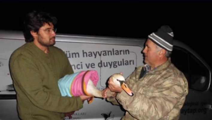 İstanbul'da tedavi edilecek