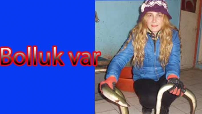 Yılan Balığına gel