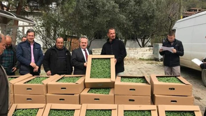 Fideler dağıtıldı