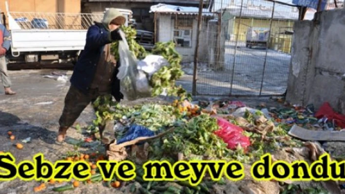 Sebze ve meyve dondu