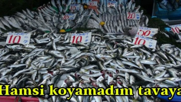 Hamsi koyamadım tavaya