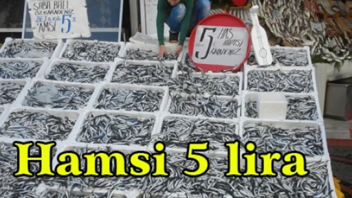 Hamsi 5 lira