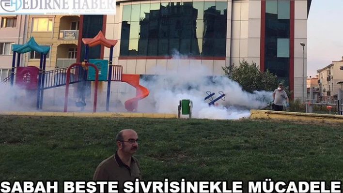Sabah 5'te sivrisinekle mücadele
