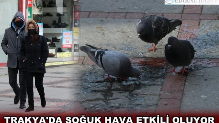 TRAKYA'DA SOĞUK HAVA ETKİLİ OLUYOR