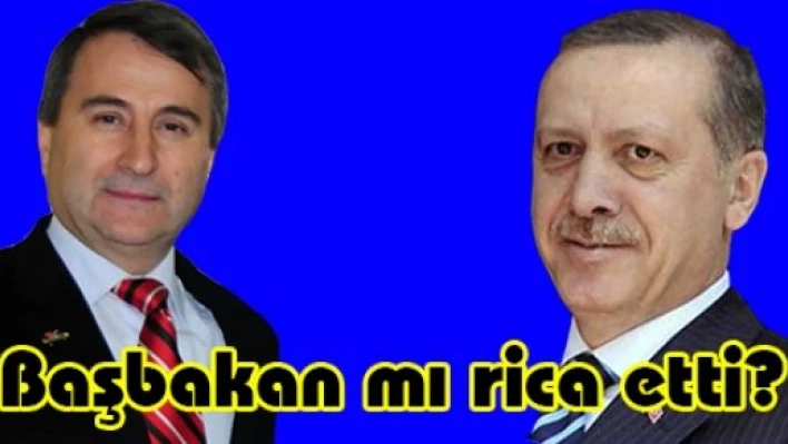 Başbakan mı rica etti?