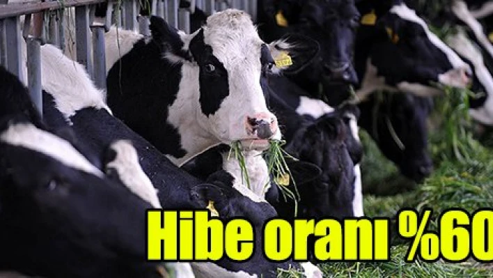 Hibe oranı yüzde 60'a çıkarılacak