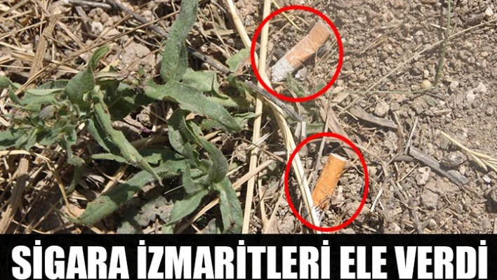 Sigara izmariti yetti