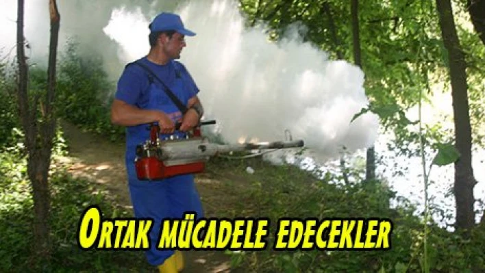 Ortak mücadele edecekler