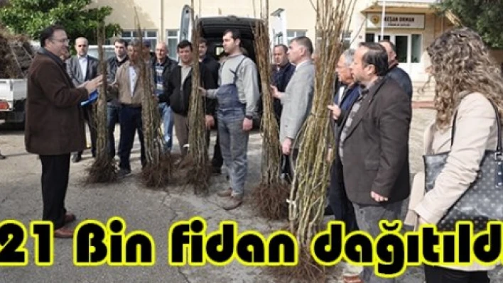 21 Bin fidan dağıtıldı