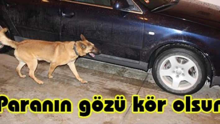 Paranın gözü kör olsun