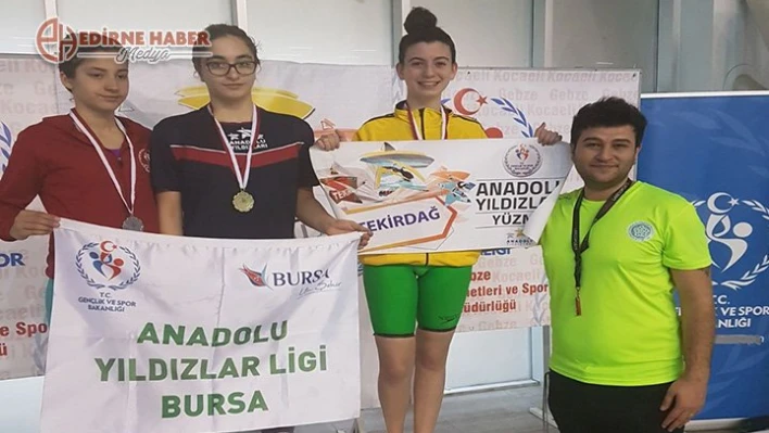 Analig Yüzme Yarışları