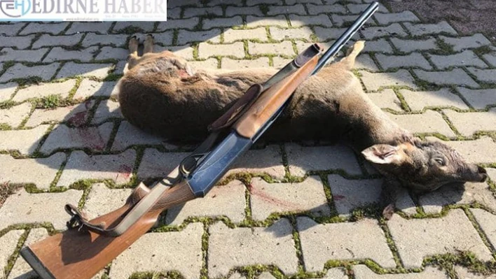 Karaca avcısı yakalandı