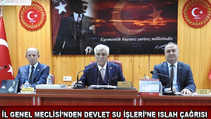 İl Genel Meclisi'nden Devlet Su İşleri'ne ıslah çağrısı