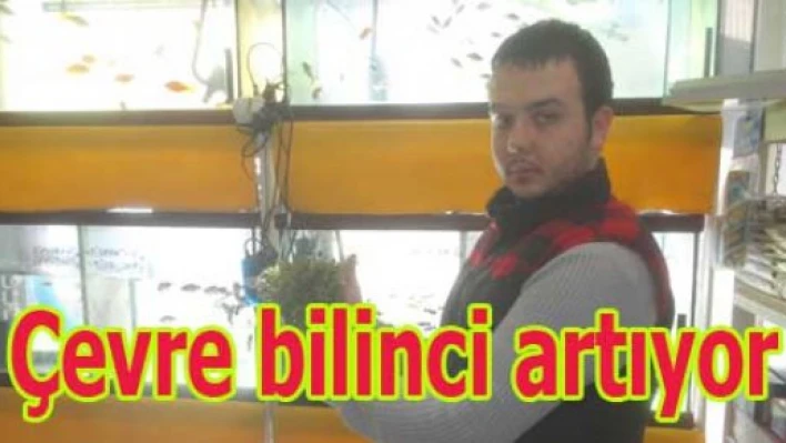 Doğala dönüş