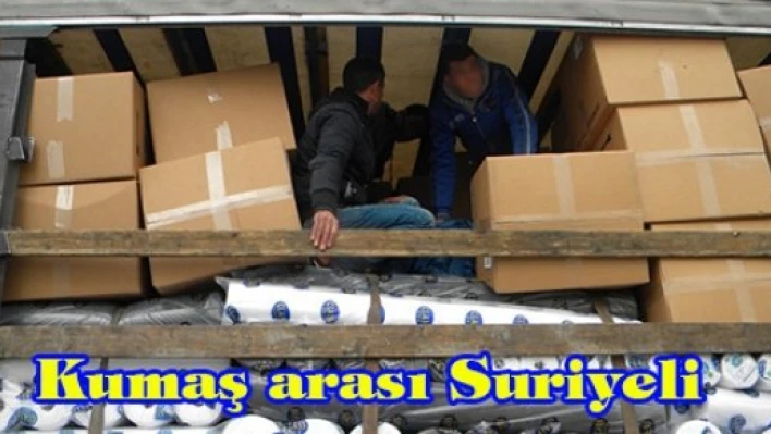 Kumaş arası Suriyeli