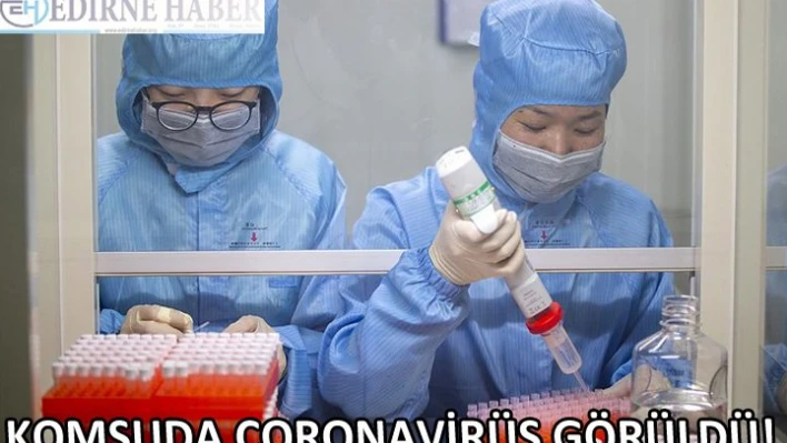 Komşuda coronavirüs görüldü!