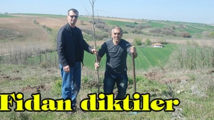 Fidan diktiler
