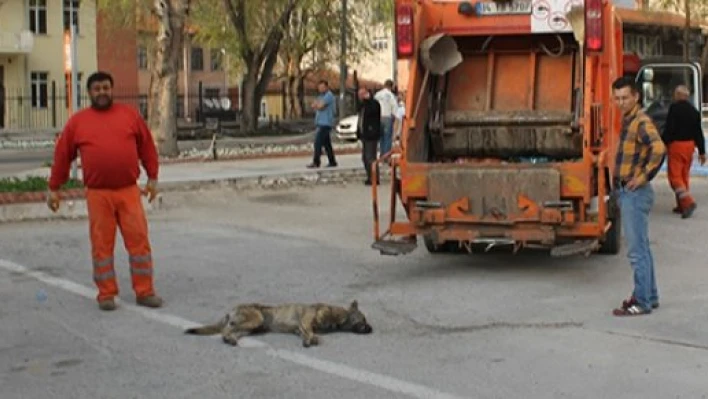 Ardına bakmadan kaçtı