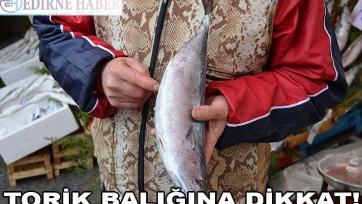 Torik balığına dikkat!