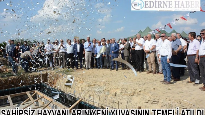 Yeni evlerine kavuşacaklar