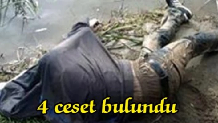 4 ceset bulundu
