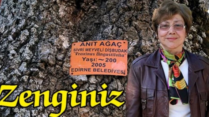 Zenginiz