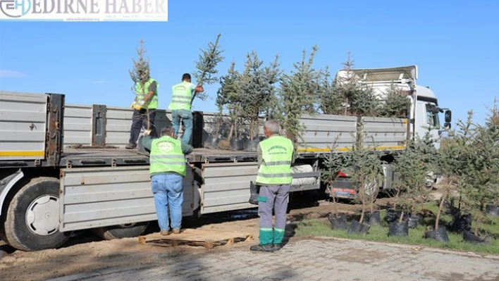 Edirne'den Hatay'a bir tır dolusu fidan gönderildi