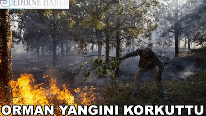 Orman yangını korkuttu