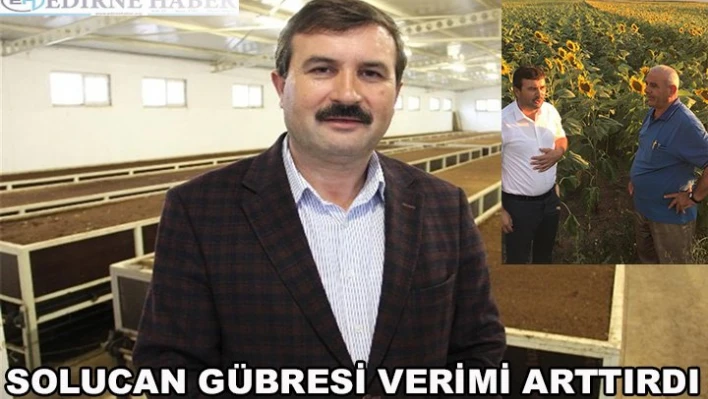 Solucan gübresi ile verim arttı
