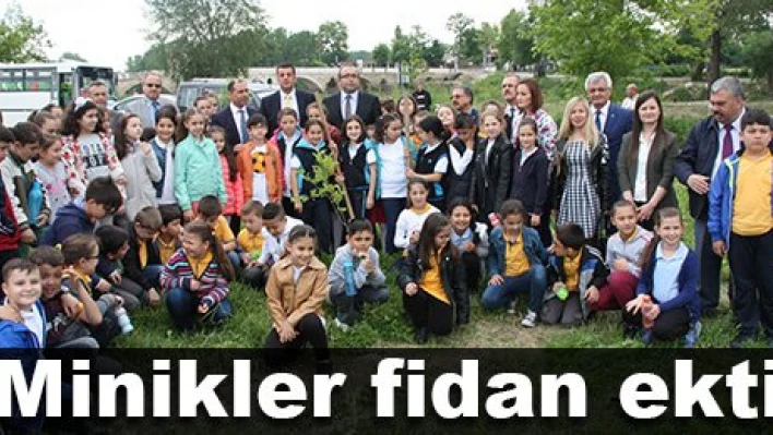Fidanlar, fidan ekti