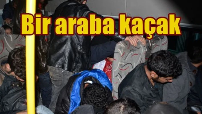 Balık istifi kaçak
