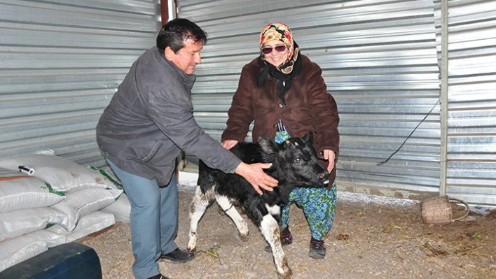 Önce ağladı, sonra güldü